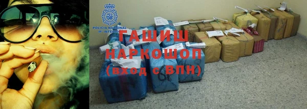 индика Абаза