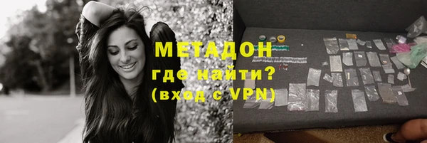 индика Абаза