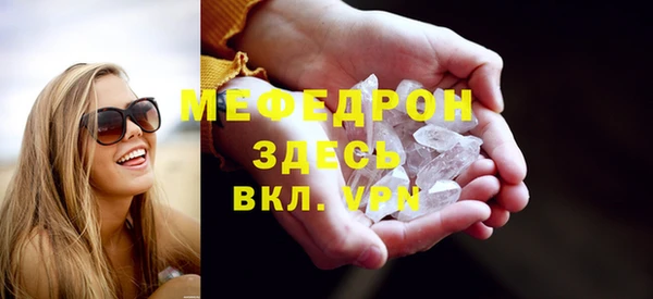 индика Абаза