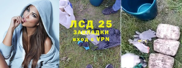 индика Абаза