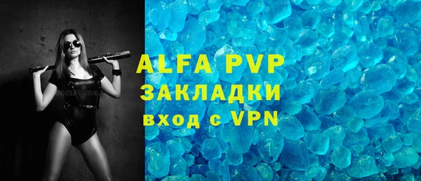 индика Абаза