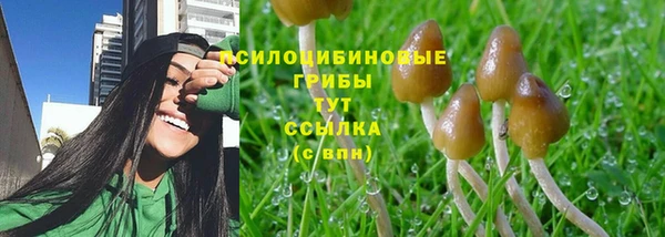 индика Абаза