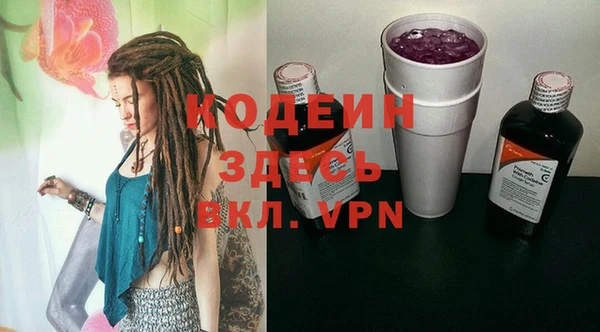 индика Абаза