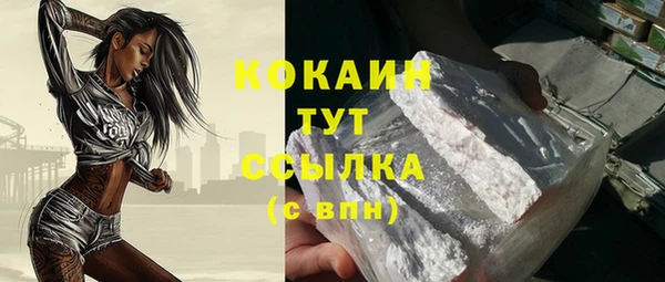 индика Абаза