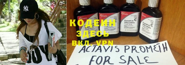 индика Абаза