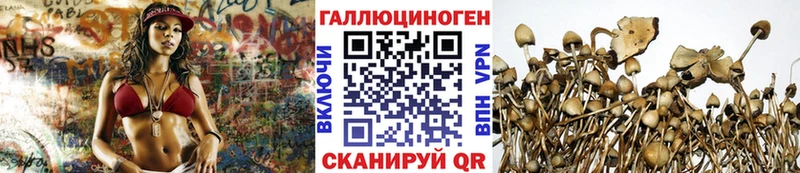 Псилоцибиновые грибы MAGIC MUSHROOMS  KRAKEN ссылки  Миллерово 